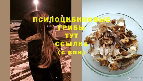 ECSTASY Аркадак